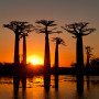 Baobab Alley, Madagascar - Undiscovered.nl