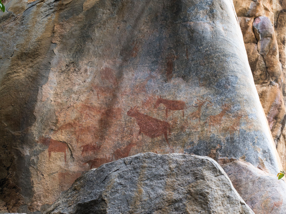 Rotsschilderingen in Botswana - Undiscovered.nl