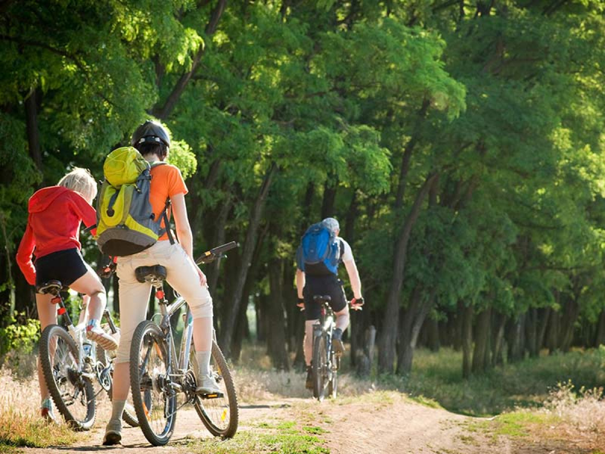 Fietsen in Nuwara Eliya, Ella, Sri Lanka - Undiscovered.nl