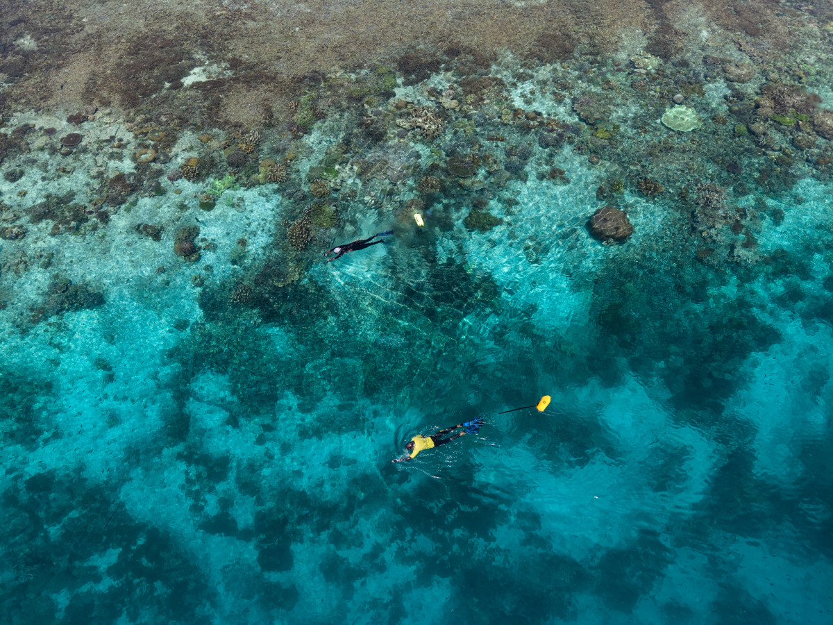 Snorkelen in Raja Ampat, Iris Uijttewaal - Undiscovered.nl