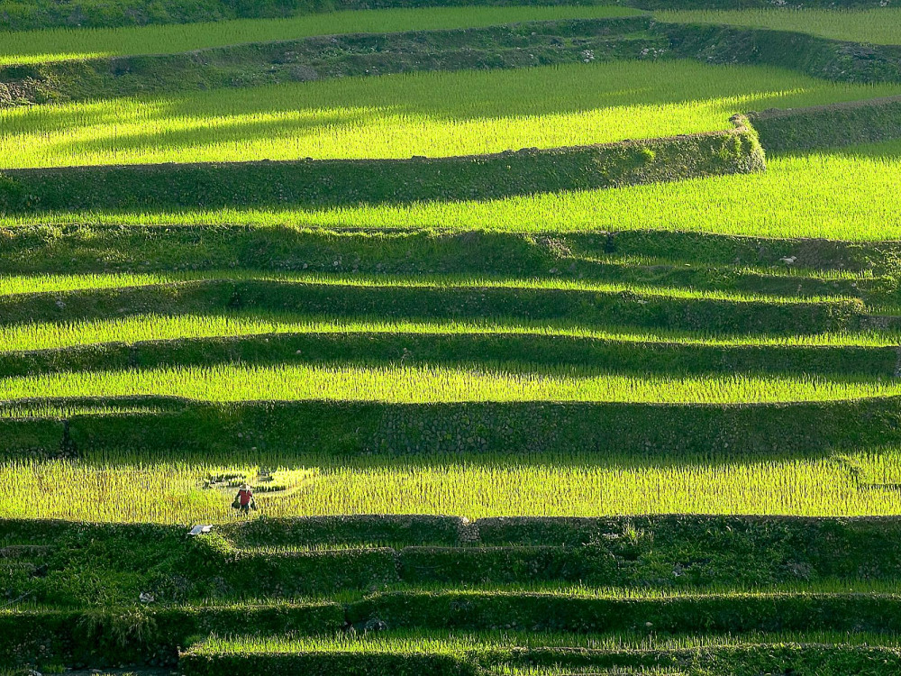 Rijstterrassen in Banaue, Noord Luzon, Filipijnen - Undiscovered.nl