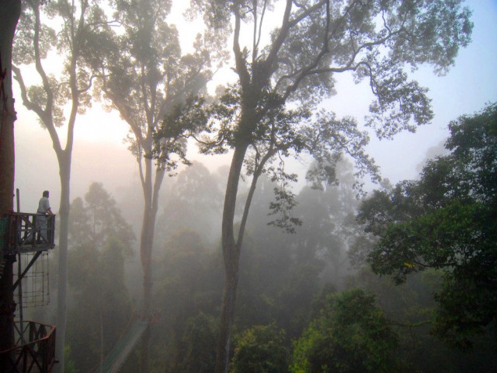 Borneo Danum Valley - Undiscovered.nl