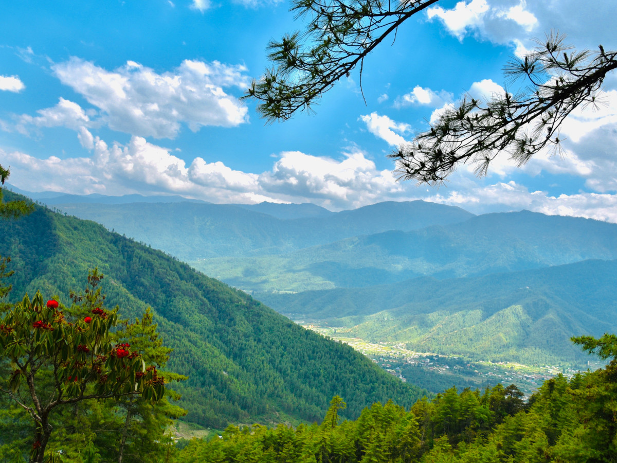 Natuur in Bhutan - Undiscovered.nl