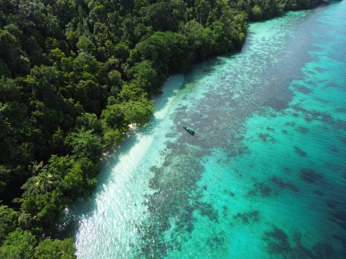 PapuArts Camping - Undiscovered.nl