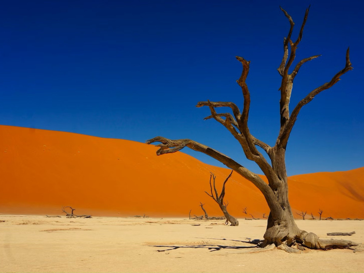 Deadvlei, Namibië - Undiscovered.nl