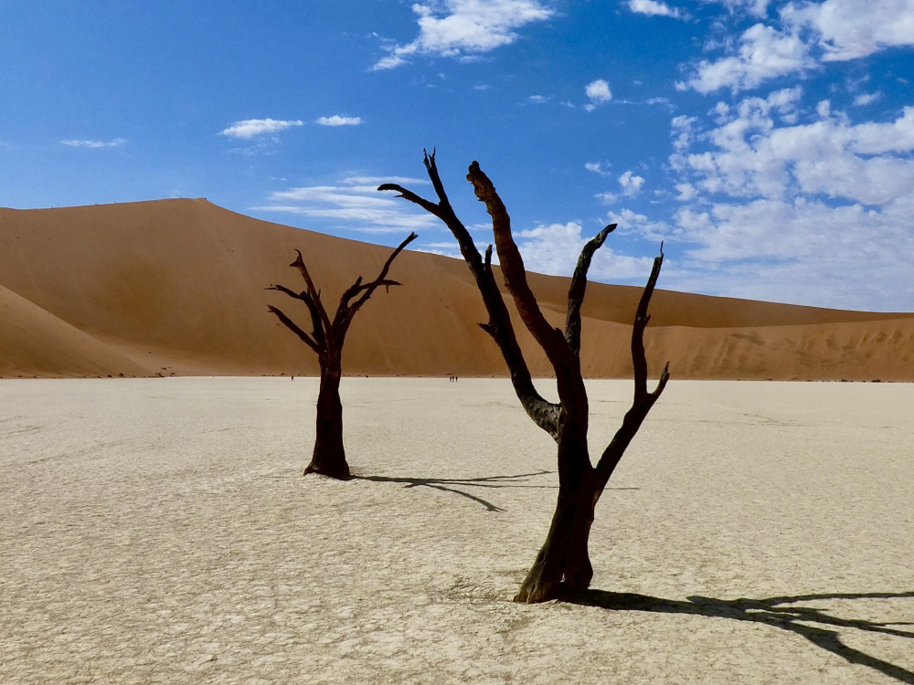 Deadvlei, Namibië - Undiscovered.nl