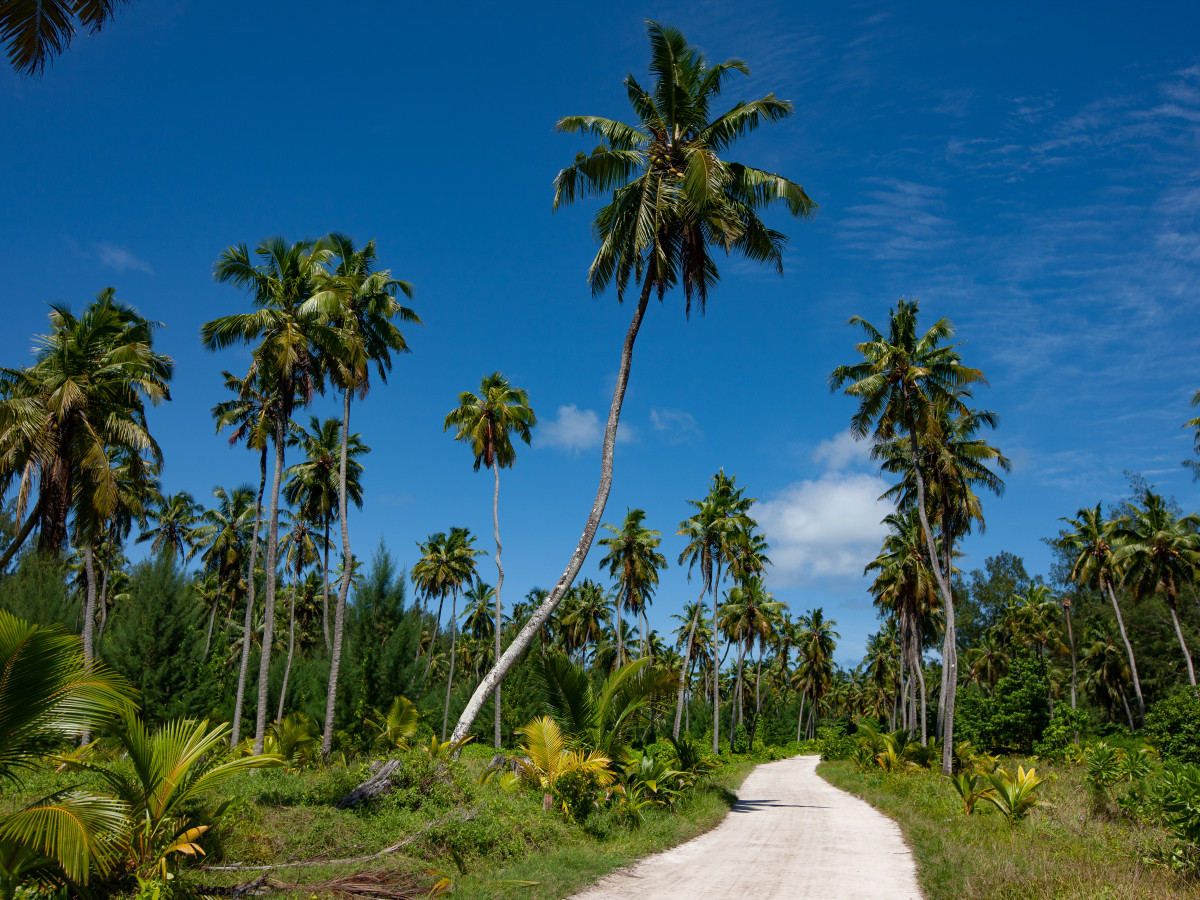 Desroches Island Seychellen - Undiscovered.nl
