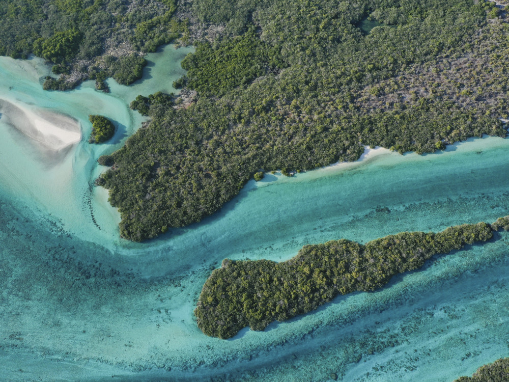 Aldabra Atoll Seychellen - Undiscovered