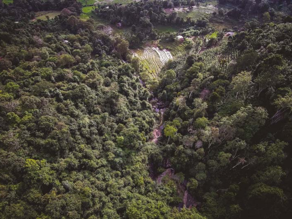 Sri Lanka Koslanda uitzicht - Undiscovered.nl