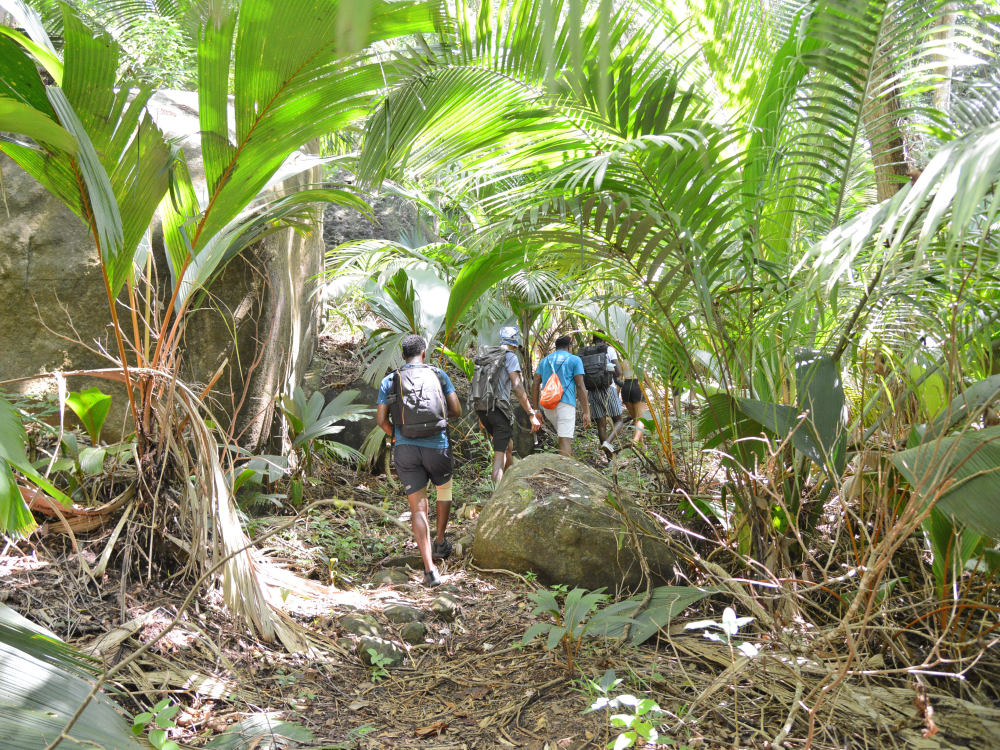 Silhouette Island Seychellen - Undiscovered.nl