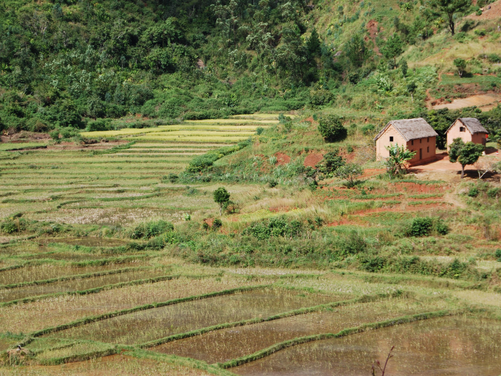 Natuurgebied in Madagascar - Undiscovered.nl
