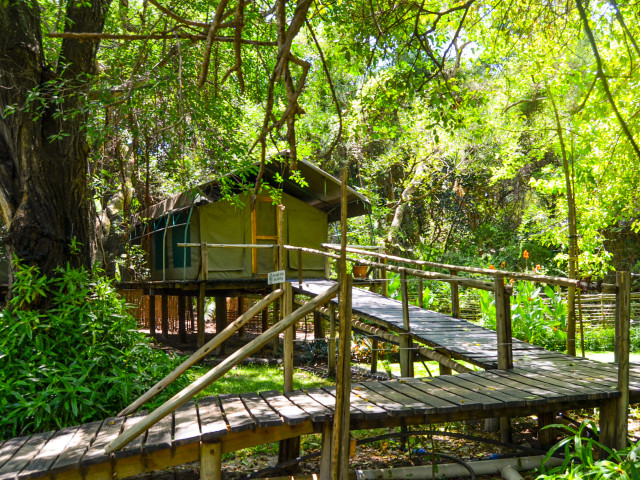 Nguma Lodge Okavango Delta Botswana - Undiscovered.nl
