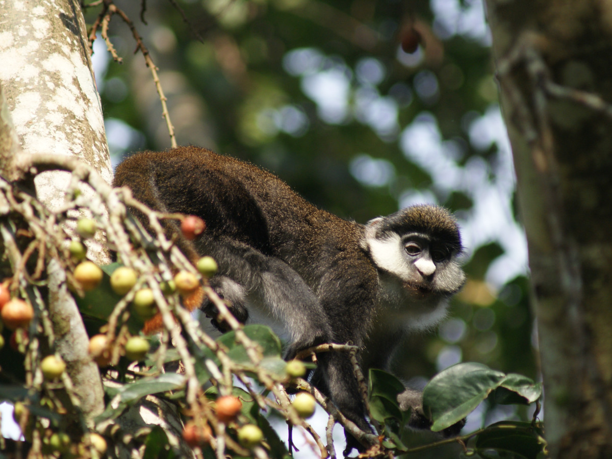 Ziwa Rhino Sanctuary Oeganda - Undiscovered.nl