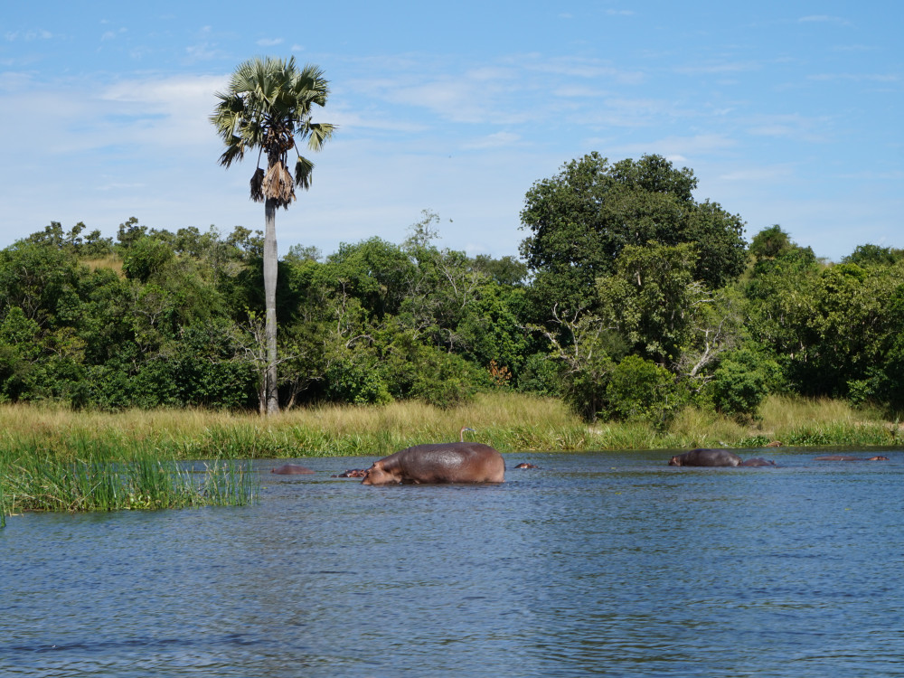 Murchison Falls National Park, Oeganda - Undiscovered.nl