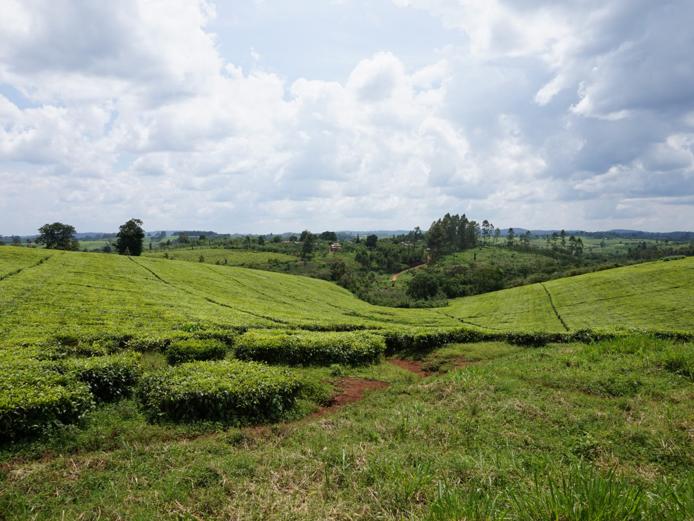 Fort Portal Oeganda - Undiscovered.nl