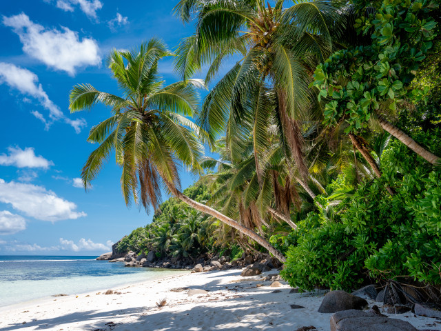 Anse Parnel Seychellen - Undiscovered.nl