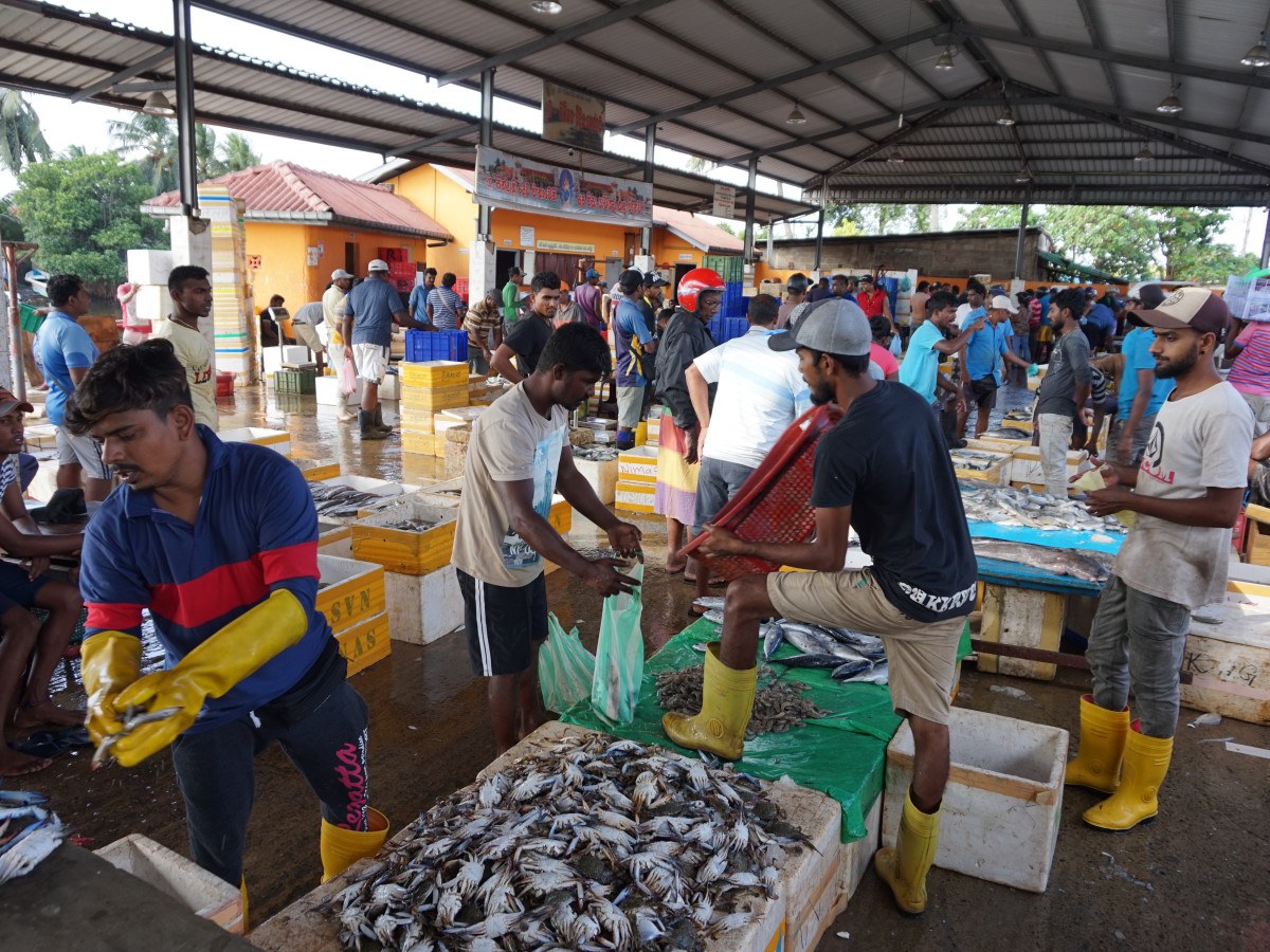 Markt in Sri Lanka - Undiscovered.nl