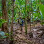 Vallee de Mai Praslin Seychellen - Undiscovered.nl