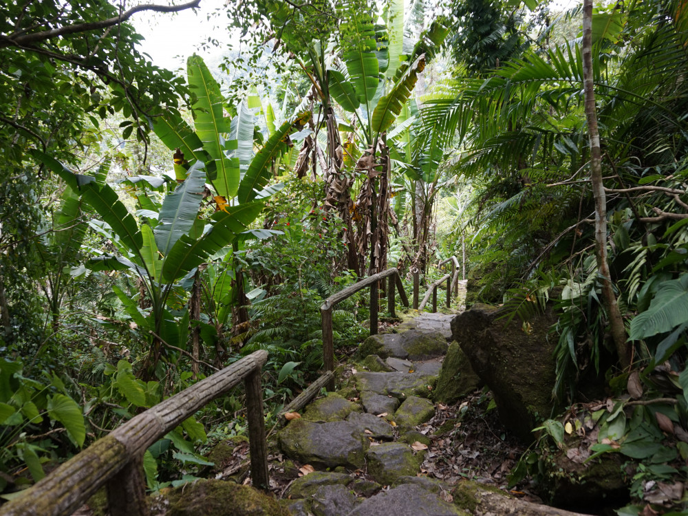 natuur negros filipijnen - Undiscovered.nl