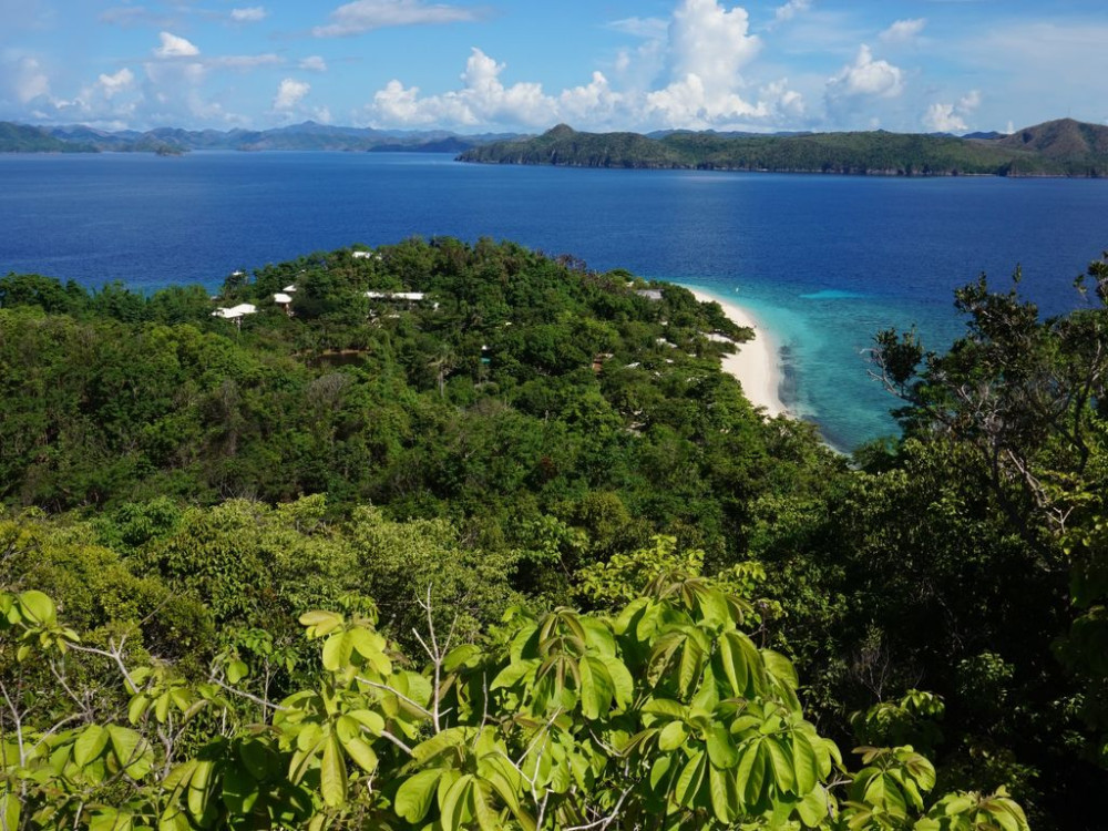 palawan filipijnen - Undiscovered.nl