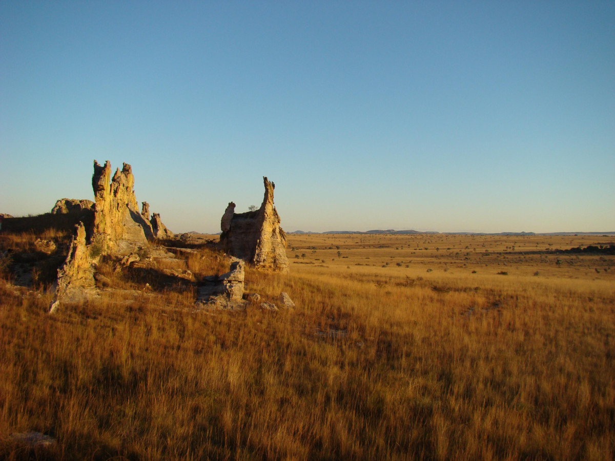 Natuurgebied in Madagascar - Undiscovered.nl