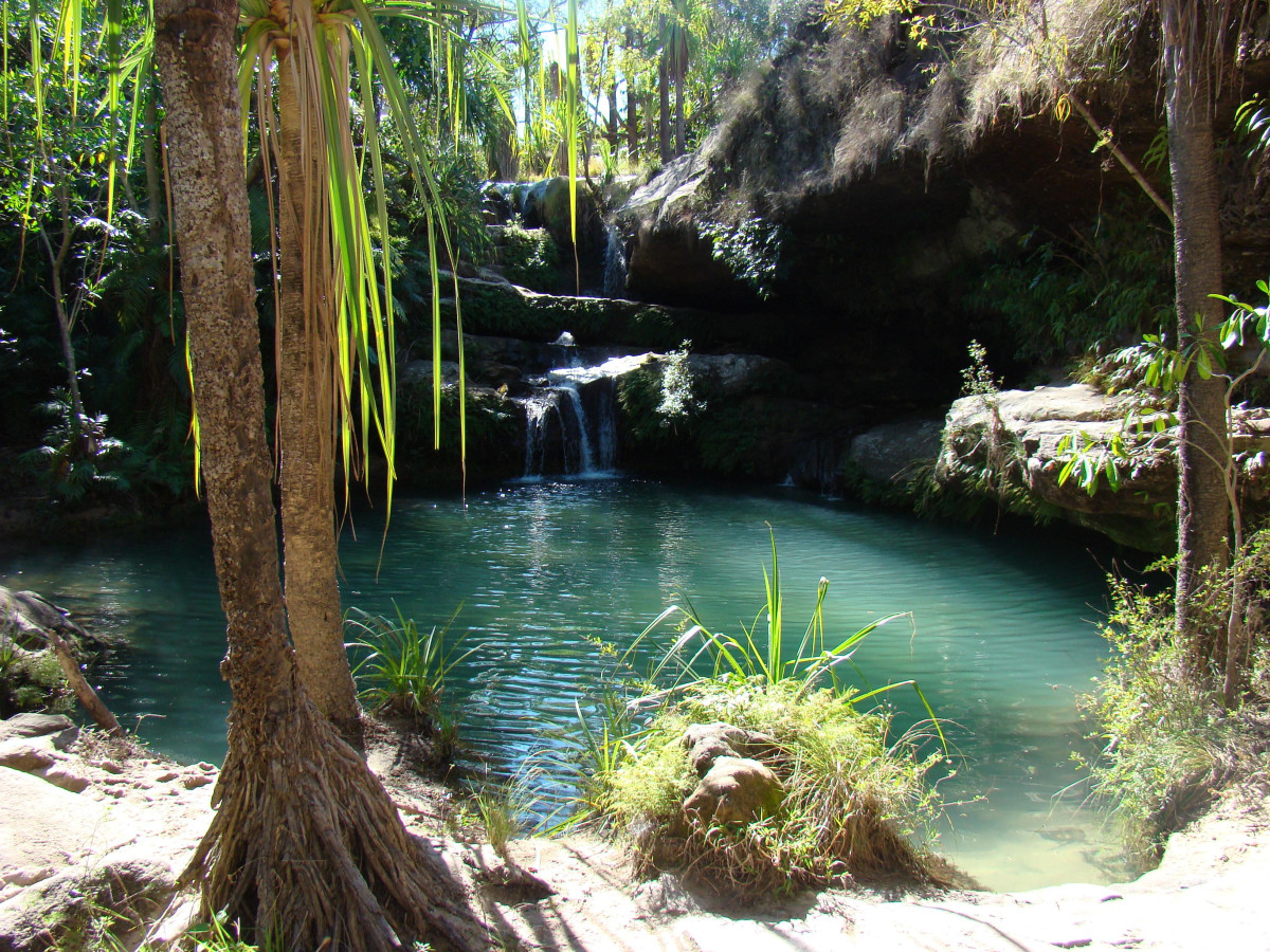 Kleine waterval in Madagascar - Undiscovered.nl