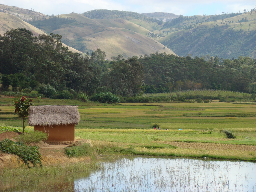Huisje in Fianarantsoa, Madagascar - Undiscovered.nl