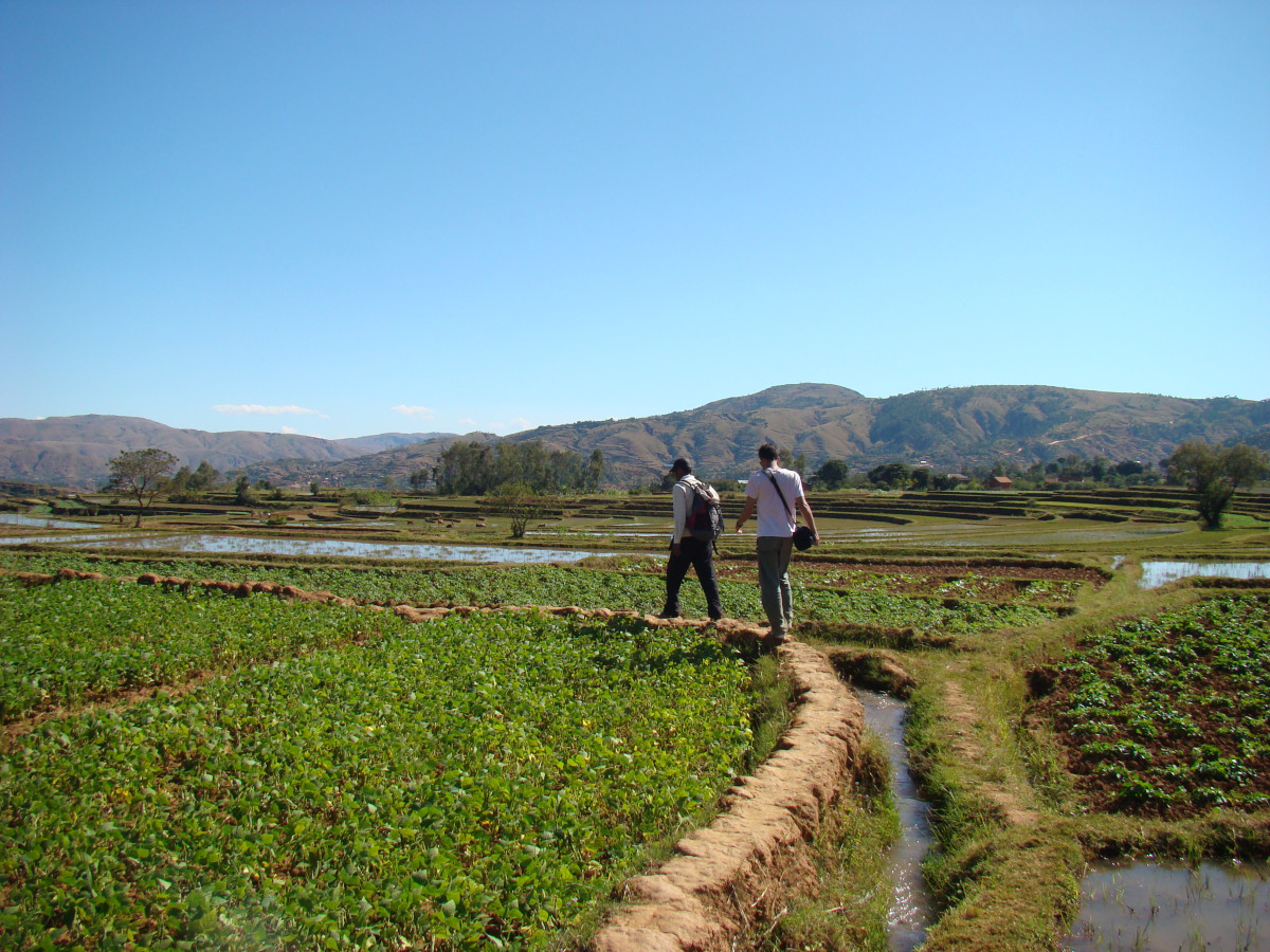 Natuur in Antsirabe, Madagascar - Undiscovered.nl