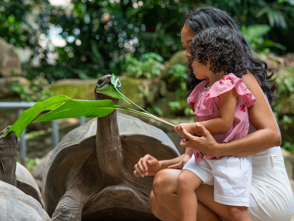 Seychelles Family - Undiscovered.nl