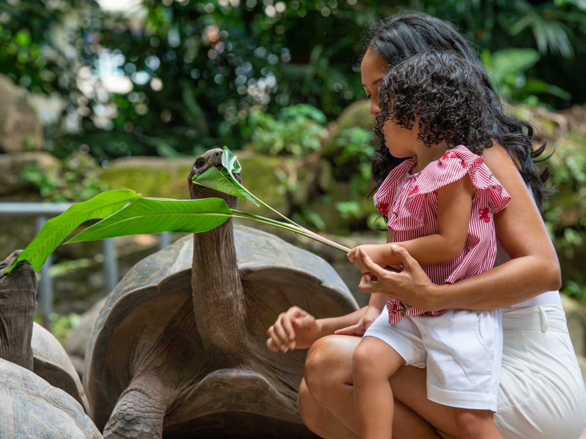Seychelles Family - Undiscovered.nl