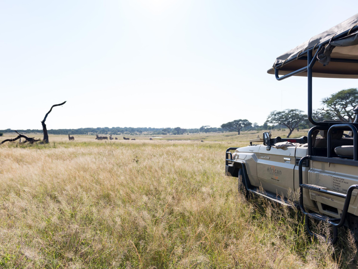 Hwange National Park Zimbabwe - Undiscovered.nl