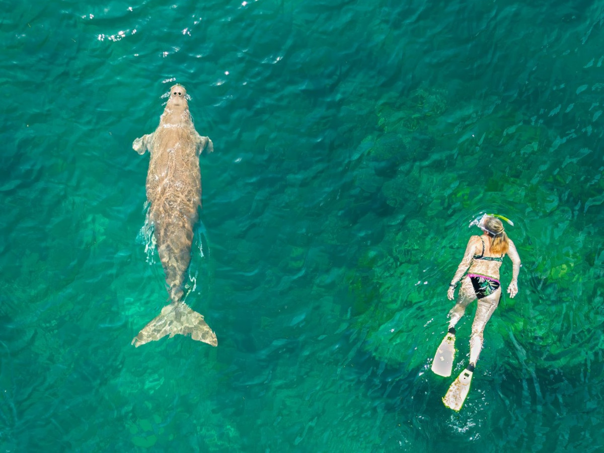 Snorkelen met een zeekoe, Filipijnen - Undiscovered.nl