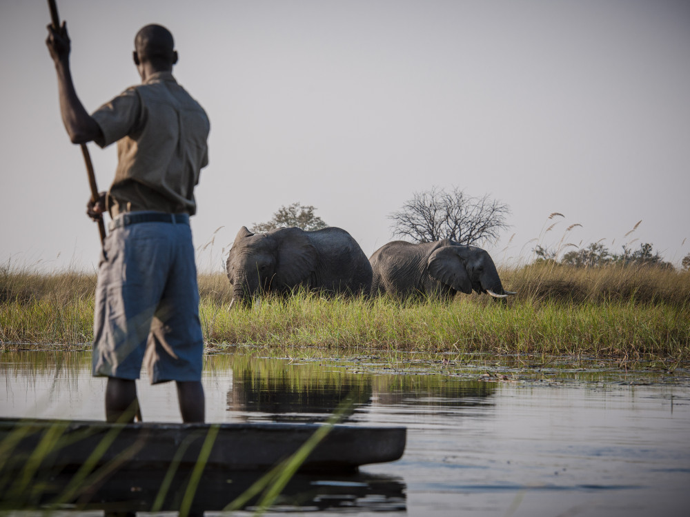 Mokoro bootsafari, Botswana - Undiscovered.nl