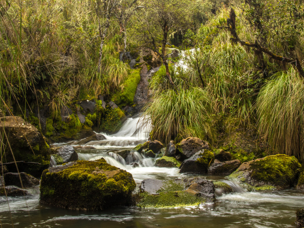 El Angel in Ecuador - Undiscovered.nl