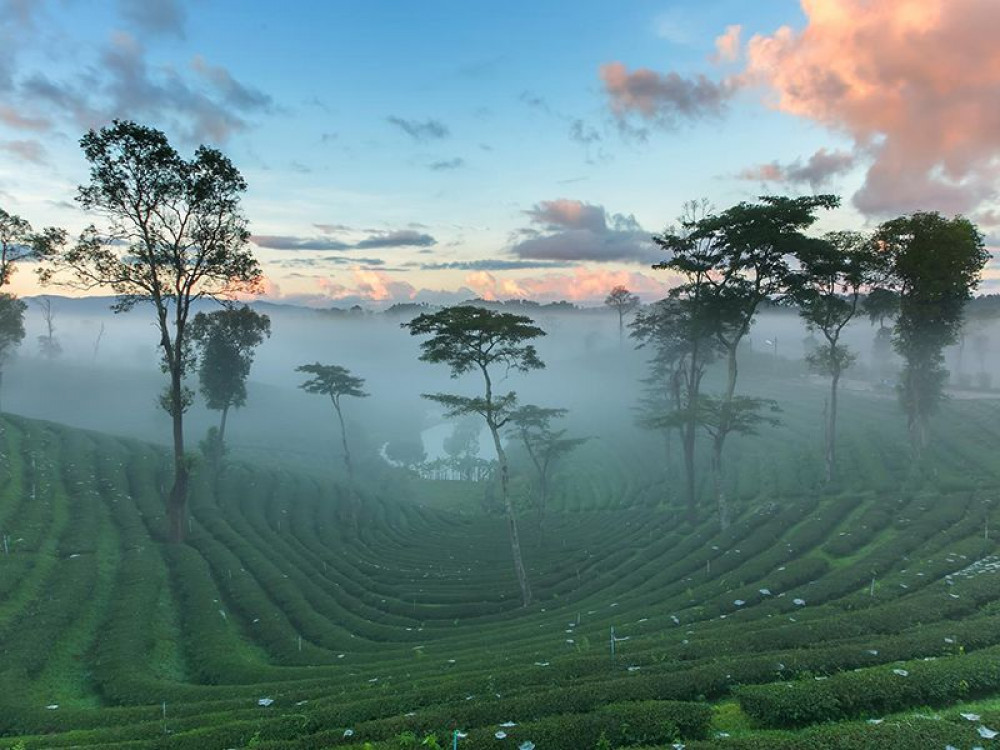 Ella, Sri Lanka - Undiscovered.nl