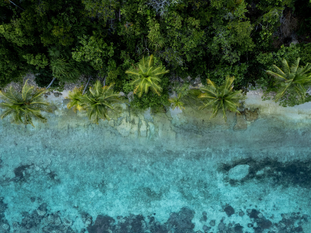Strand in Raja Ampat, Oost-Indonesië - Undiscovered.nl
