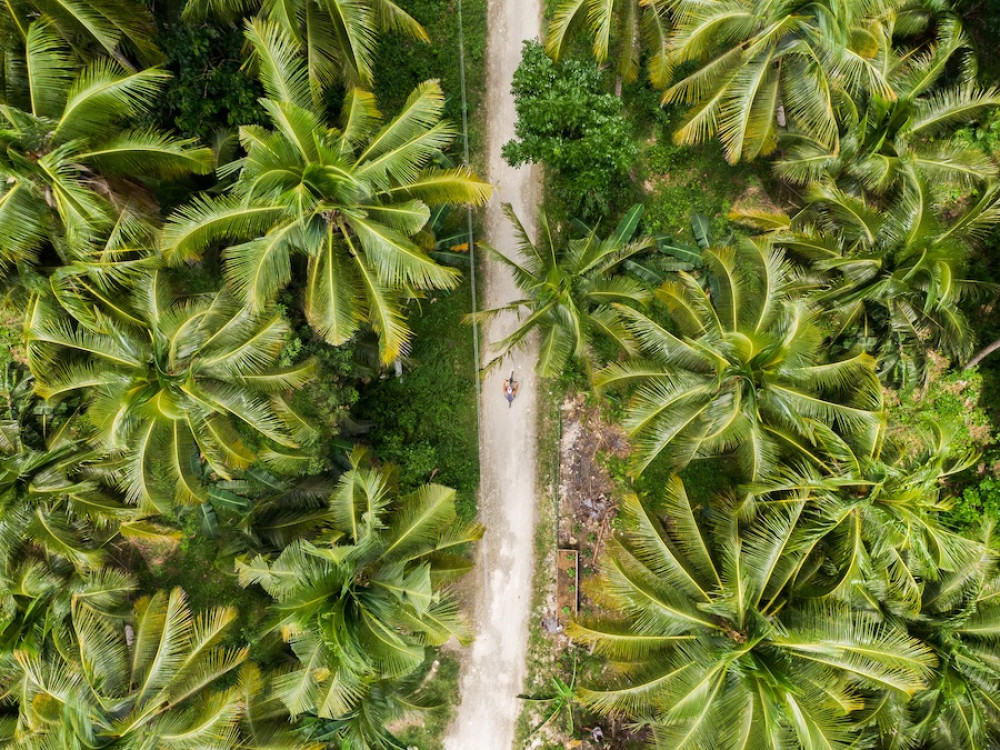 Siquijor per scooter, Filipijnen - Undiscovered.nl