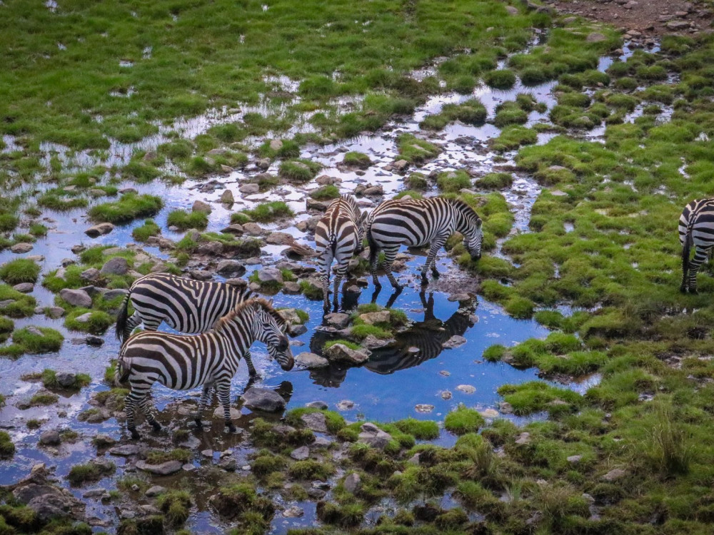 Masai Mara Kenia - Undiscovered.nl