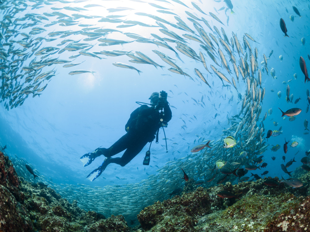 Duiken in Galapagos, Ecuador - Undiscovered.nl
