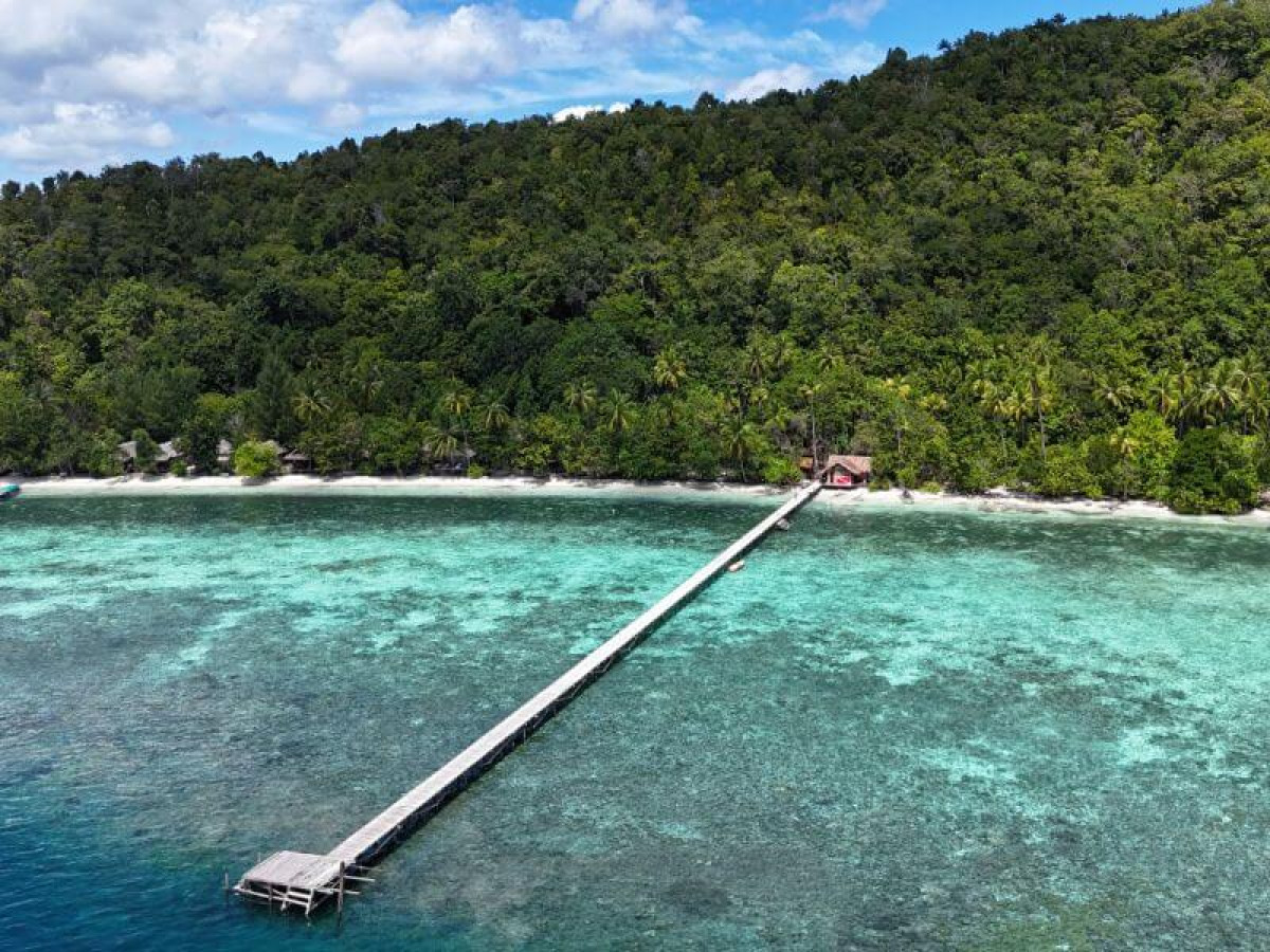 Turtle Dive Homestay - Undiscovered.nl