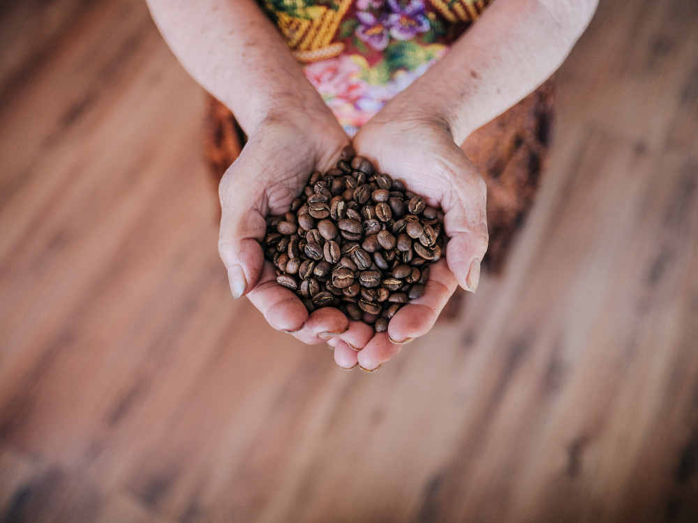 Bonen in Guatemala - Undiscovered.nl