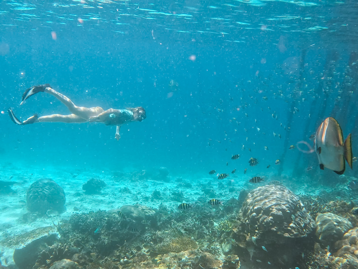 Snorkelen bij Yenbuba Jetty in Raja Ampat, Oost-Indonesië - Undiscovered.nl