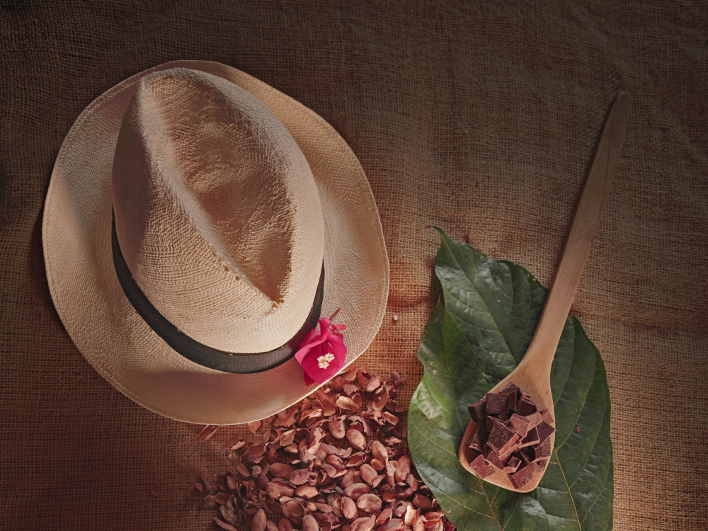 Cacao boerderij Guayaguil, Ecuador - Undiscovered.nl
