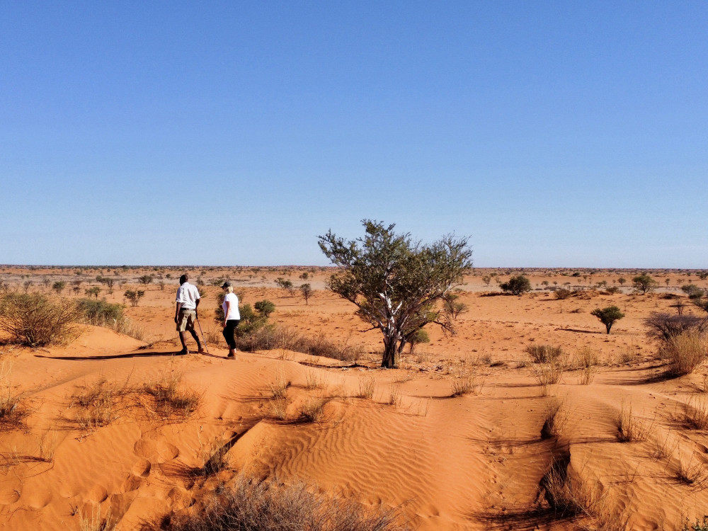 Red Dunes Lodge Trans Kalahari Hike Namibië - Undiscovered.nl