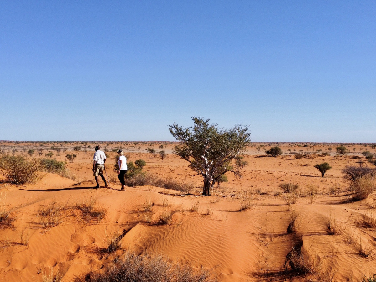 Red Dunes Lodge Trans Kalahari Hike Namibië - Undiscovered.nl
