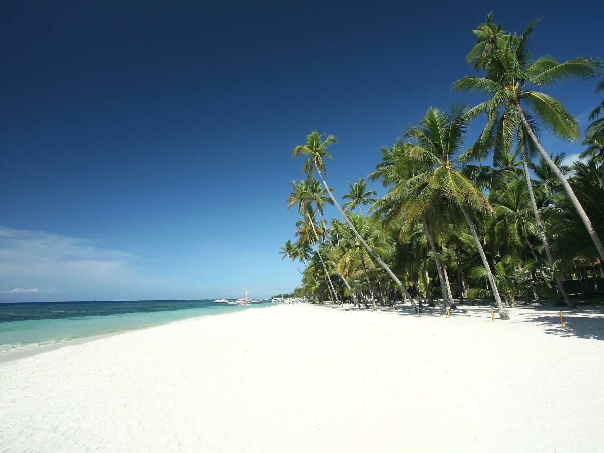 strand zee palmbomen panglao beach filipijnen - Undiscovered.nl