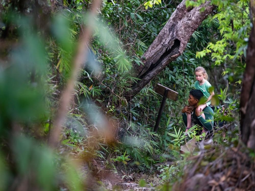 Familiereis Palawan, Filipijnen - Undiscovered.nl