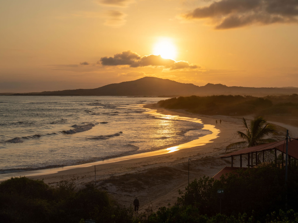 Iguana Crossing Hotel, Ecuador- Undiscovered.nl