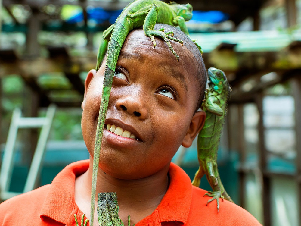Belize Iguana Project - Undiscovered.nl
