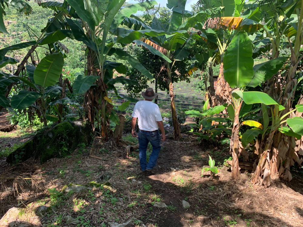 Koffieboer in Guatemala - Undiscovered.nl